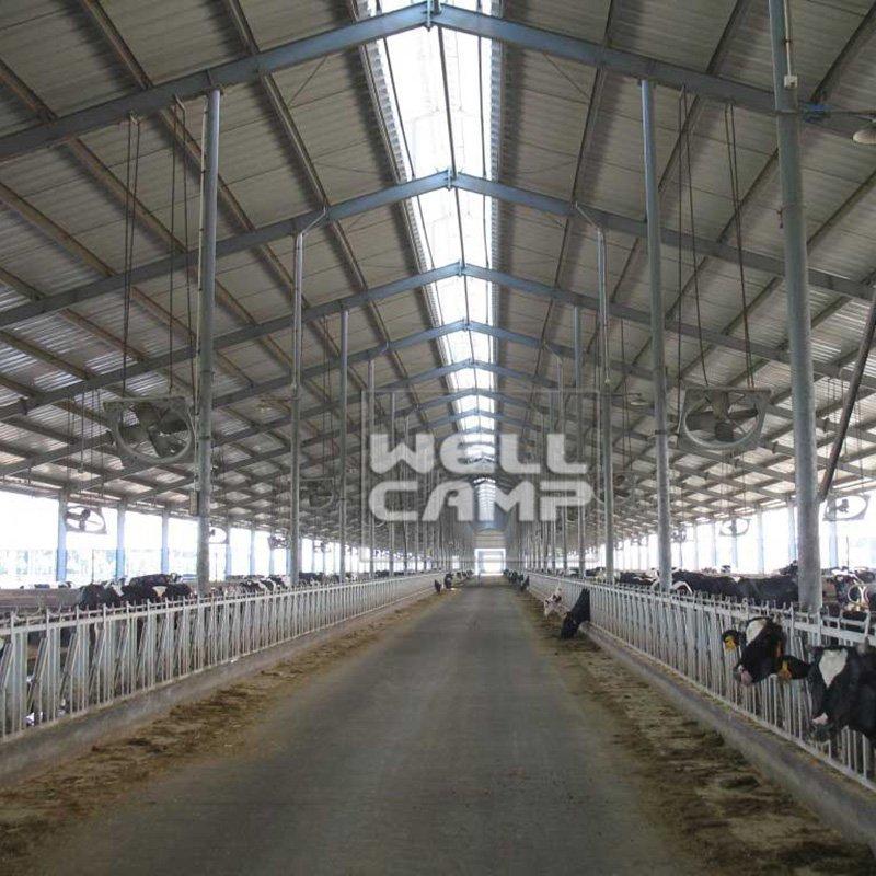 Steel Structure for Poultry Dairy Cow Shed and Chicken Farm Building Prefab Steel Buildings Custom Warehouse-W06