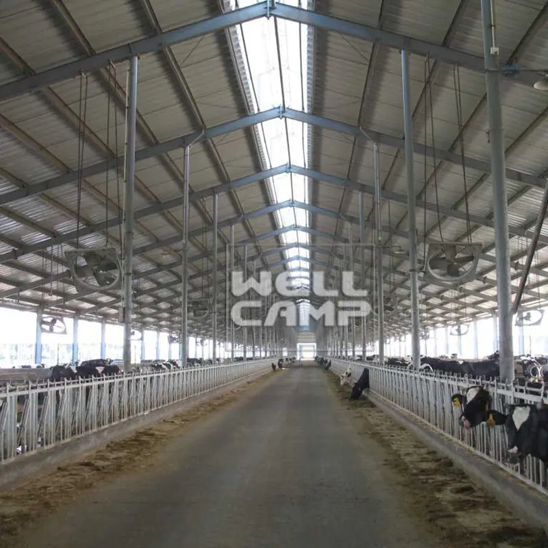 Steel Structure for Poultry Dairy Cow Shed and Chicken Farm Building Prefab Steel Buildings Custom Warehouse-W06