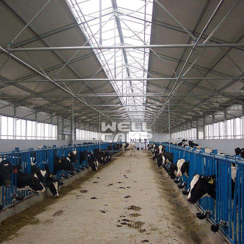 Steel Structure for Poultry Dairy Cow Shed and Chicken Farm Building Prefab Steel Buildings Custom Warehouse-W06