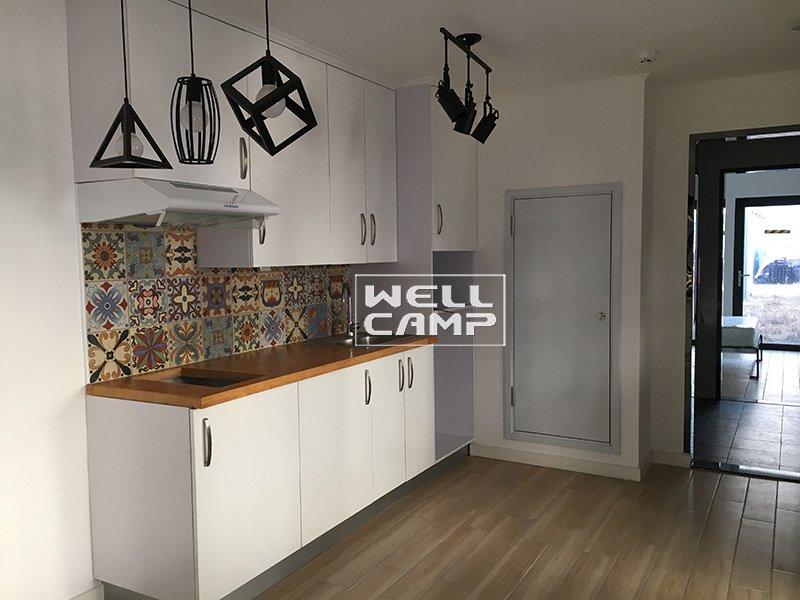 WELLCAMP-Professional The Newest Shipping Container House Design + S01 Supplier-1